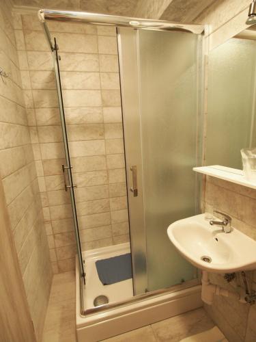 a bathroom with a shower and a sink at Apartman i sobe Pavek in Pisarovina