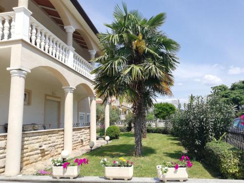 una palmera frente a una casa en Apartments Rose, en Poreč