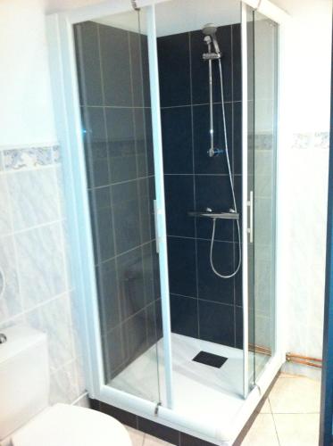 a shower with a glass door in a bathroom at Hôtel Les Frangins in Saint-Omer