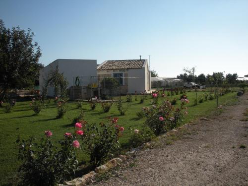 a garden of roses in front of a building at Casa vacanze La Meridiana in Donnalucata