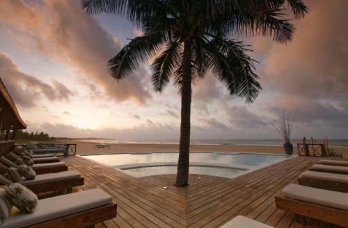 a pool with a palm tree next to a beach at Sentidos Beach Retreat in Miramar