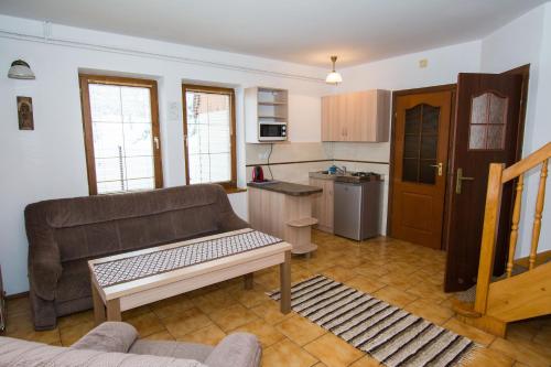 Il comprend un salon avec un canapé et une cuisine. dans l'établissement Apartamenty U Zajaców, à Zakopane