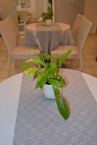 Posezení v ubytování Hotel Smeraldo