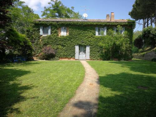 a green building with a white door and a grass yard at Alloggio Al San Girolamo in Longiano