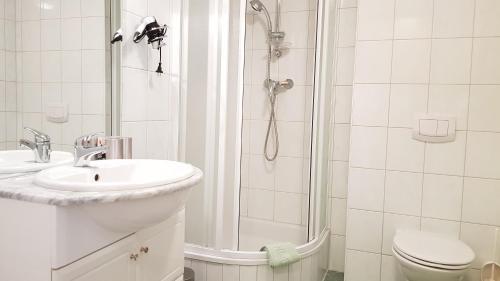 ein Bad mit einer Dusche, einem Waschbecken und einem WC in der Unterkunft Roseggerhof in Sankt Kathrein am Hauenstein