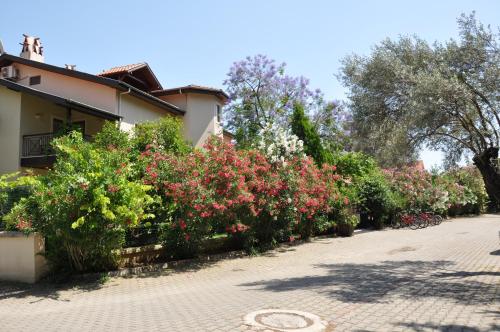 a row of flowering bushes next to a house at Mr. Dim Exclusive Apart Hotel in Göcek