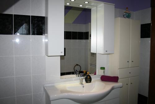 Koupelna v ubytování Apartman Aleks