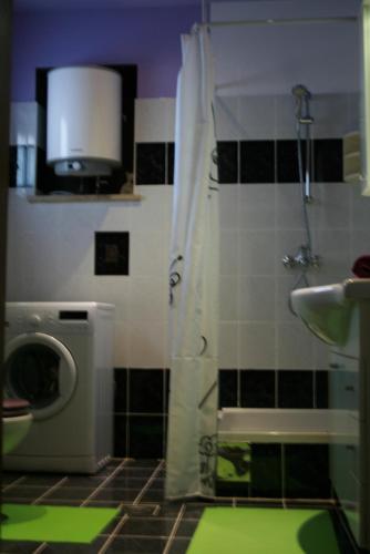 a bathroom with a shower and a washing machine at Apartman Aleks in Bale