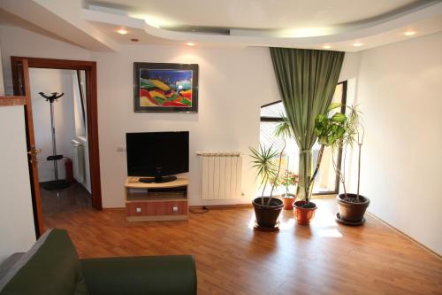 a living room with potted plants and a flat screen tv at Pensiunea Mihaela in Poiana Brasov