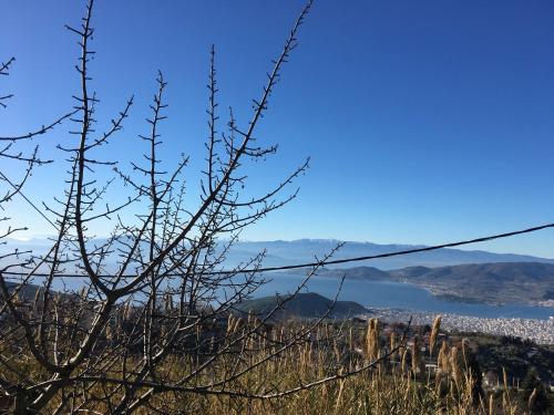 Φυσικό τοπίο κοντά σε αυτή η εξοχική κατοικία