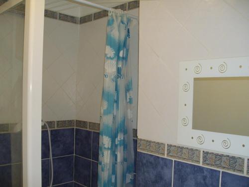 アルルにあるCuevaのシャワー(青いシャワーカーテン、鏡付)
