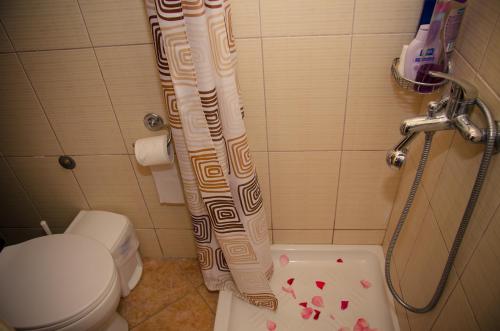 a bathroom with a toilet and a shower curtain with hearts at Villa Conte Rari in Agios Gordios