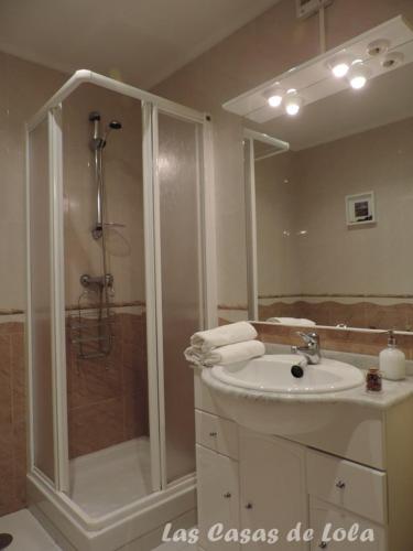 a bathroom with a shower and a sink and a shower at Las Casas de Lola in Rabago
