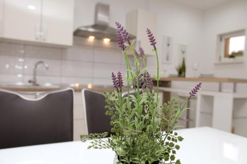 Apartments Viki