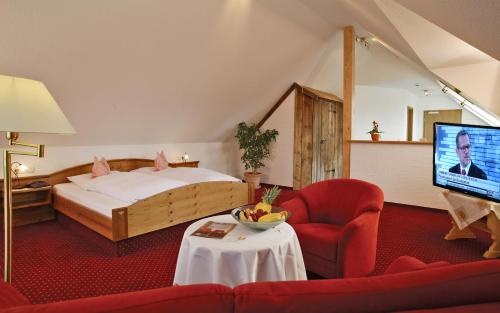 ein Schlafzimmer mit einem Bett und einem TV in einem Zimmer in der Unterkunft Ferienwohnungen Kurhotel Eichinger in Bad Wörishofen