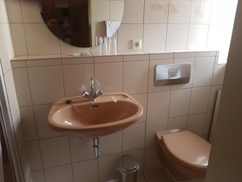 a bathroom with a sink and a toilet at Forellenhof-Waldhölzbach in Waldhölzbach