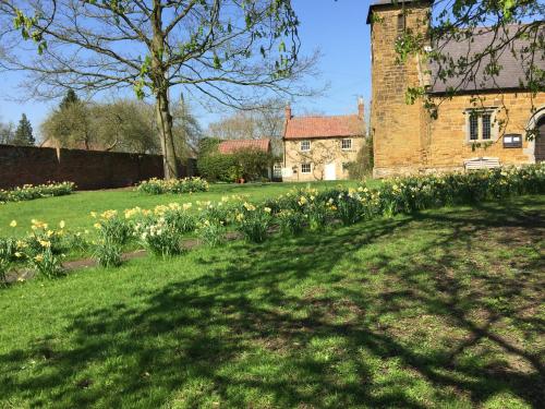 un champ de daffodils devant une maison dans l'établissement Swan Cottage, à Coxwold