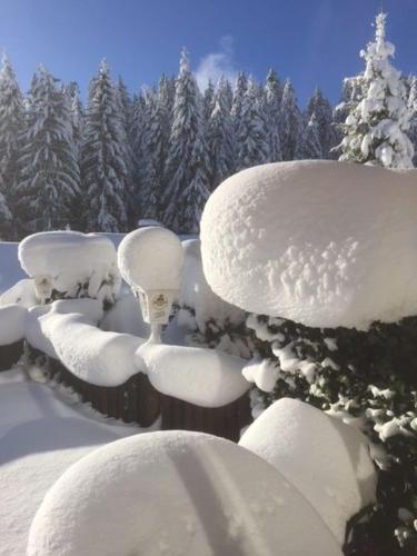 a snow sculpture of a skull in a snowy forest at Hotel Adlerschanze in Schonwald im Schwarzwald