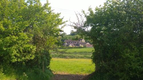 a view of a field from between two trees at Cameley Lodge - Self Catering in Temple Cloud