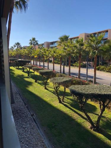 Salgados Beach