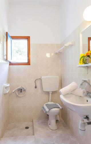 a bathroom with a toilet and a sink at Panorama Rooms in Agia Roumeli