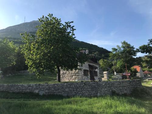 an old stone house with a stone wall and a tree at Lovcen Holiday Home in Cetinje