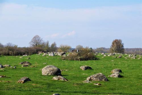 a field of rocks in a field of grass at Bodelssons by the Sea in Tosteberga