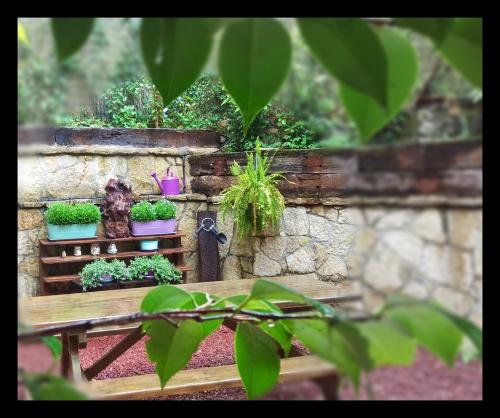 Afbeelding uit fotogalerij van Río Aliso in Llonín