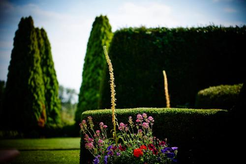 a bunch of flowers in a garden with trees at The Barnsdale, Rutland in Oakham