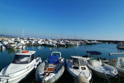 a bunch of boats are docked in a harbor at Hotel L'Isola in Santa Marinella