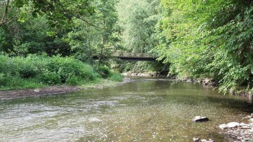 a river with a bridge in the middle at Ferienwohnungen "am Fürstenweg" in Neuwied