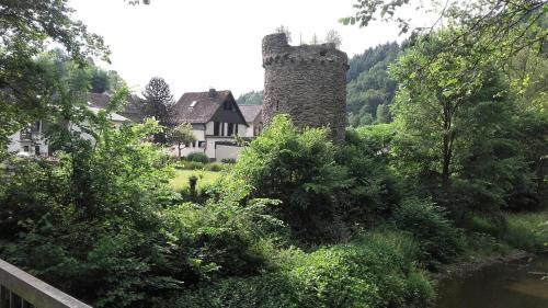 Ferienwohnungen "am Fürstenweg" في نيوفيد: منزل مع قلعة في وسط نهر