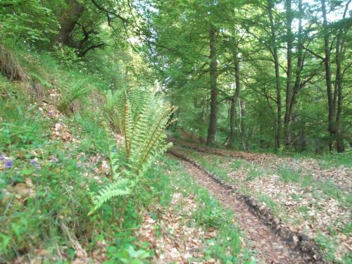 Fotografie z fotogalerie ubytování Apartamento San Mamés v destinaci San Mamés