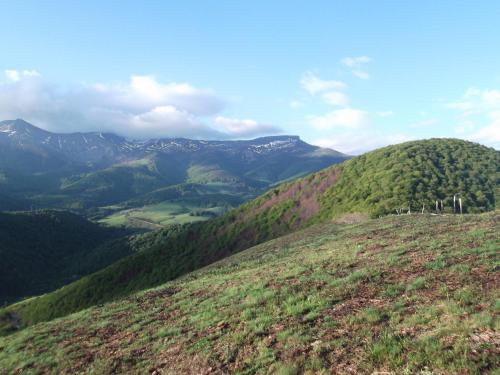 Fotografie z fotogalerie ubytování Apartamento San Mamés v destinaci San Mamés