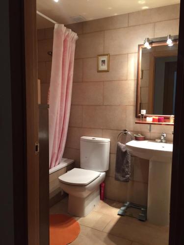a bathroom with a toilet and a sink at BIOK Ainsa Ordesa-Monte Perdido' in Aínsa