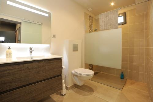 a bathroom with a toilet and a sink and a shower at Le Parc Stanislas in Chartres