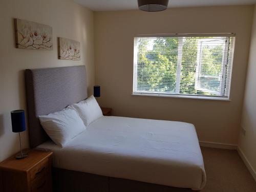 a bedroom with a white bed and a window at Dublin Airport Room in Dublin