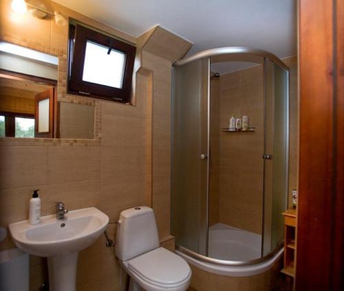 ein Bad mit einer Dusche, einem WC und einem Waschbecken in der Unterkunft Domek letniskowy z kortem tenisowym Karwia Ostrowo in Ostrowo