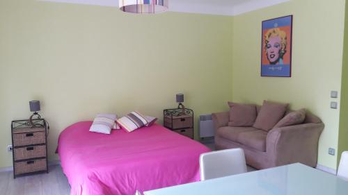 - une chambre avec un lit rose et un canapé dans l'établissement Studio couleur gai, à Amélie-les-Bains-Palalda