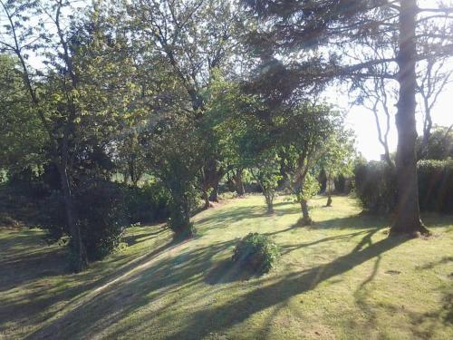 a group of trees in a field with grass at Gite a la campagne in Mailly-Maillet