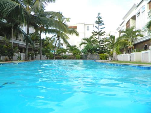 a large blue swimming pool with palm trees at ARIEL BEACH VILLA* in Grand Baie