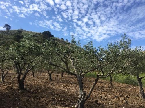 Φυσικό τοπίο κοντά σε αυτό το κατάλυμα σε φάρμα