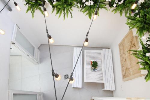 Φωτογραφία από το άλμπουμ του Pollenca Townhouse σε Pollença