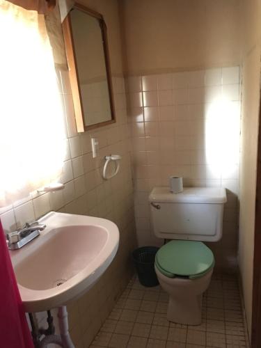 W łazience znajduje się zielona toaleta i umywalka. w obiekcie Posada Santa María w mieście Mineral del Chico