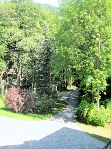 a path through a park with trees and bushes at Appartement Ambiente in Waidhofen an der Ybbs