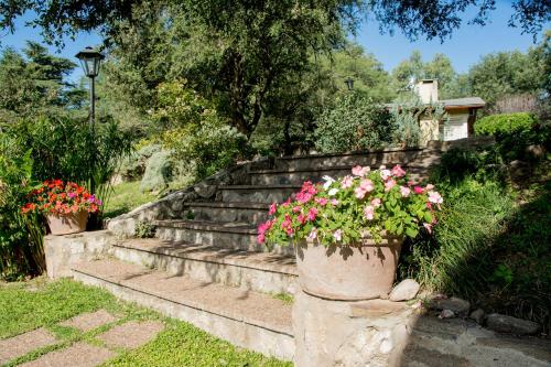 Del Arroyo Cabañas – Photos 4