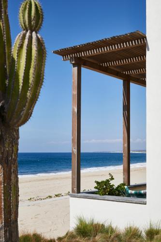 a cactus next to a beach with the ocean at Hotel San Cristobal Adults 15+ in Todos Santos