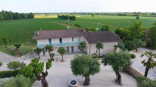 an aerial view of a house with palm trees at Agriturismo le Fontanelle da Valente in Montichiari