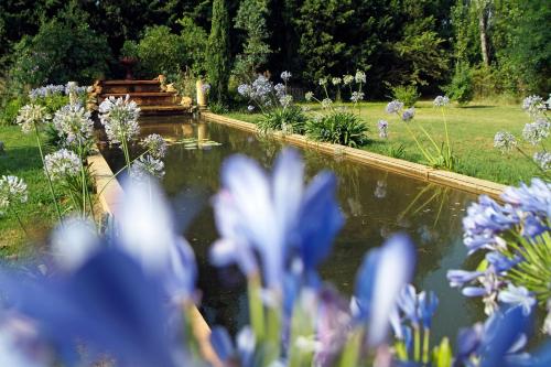 a garden with a pond with blue flowers in the foreground at Mas de la Chapelle in Arles
