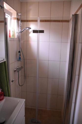 a shower with a glass door in a bathroom at Ferienhaus Sonnenweg in Sankt Andrä bei Frauenkirchen